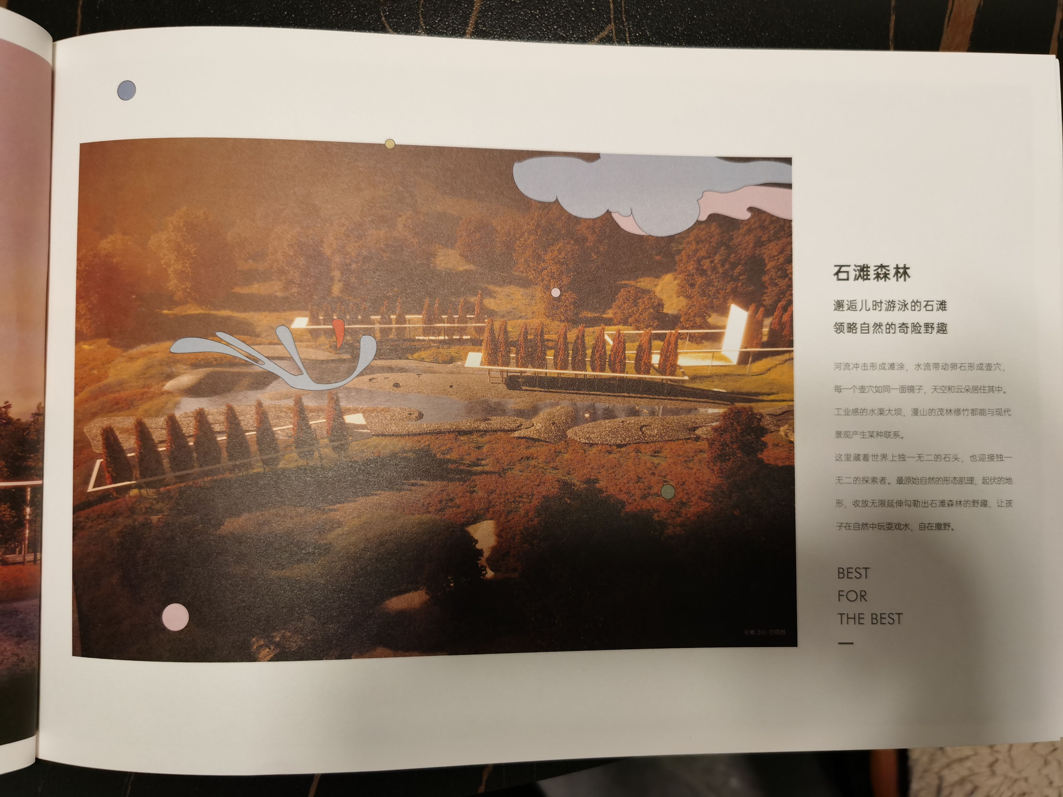 石滩森林.jpg