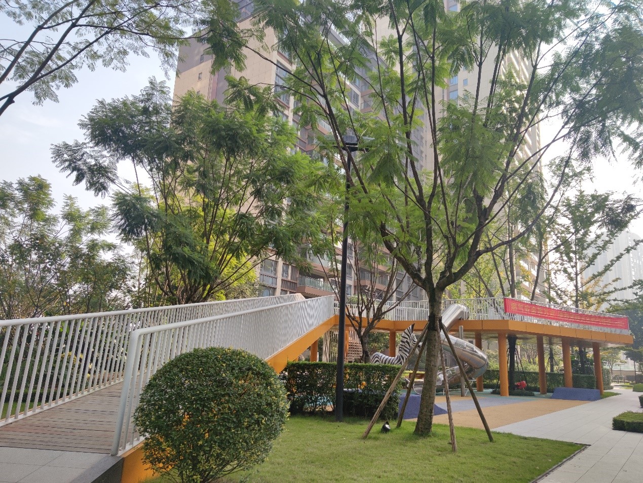 555.jpg