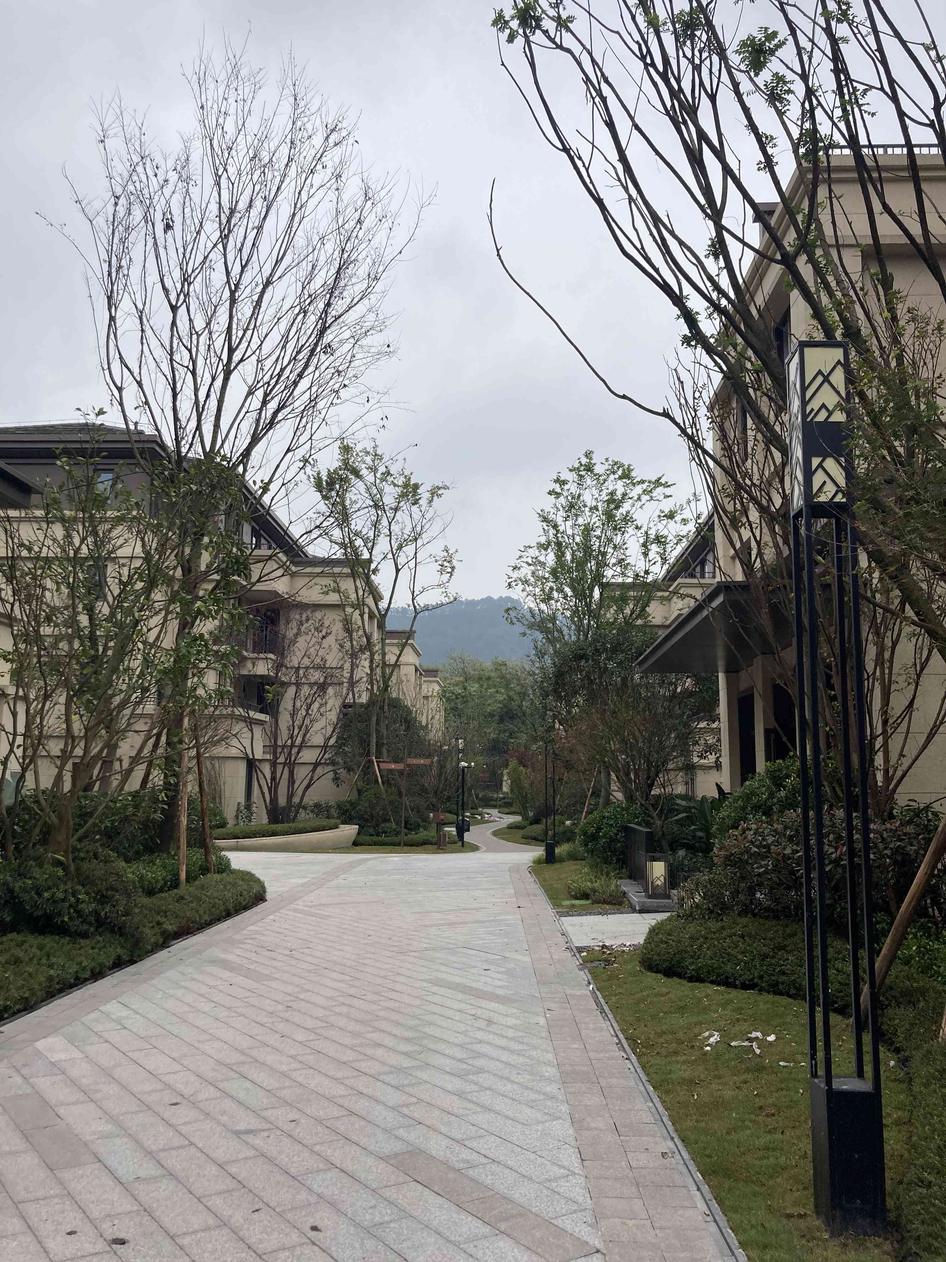 小区图2.jpg