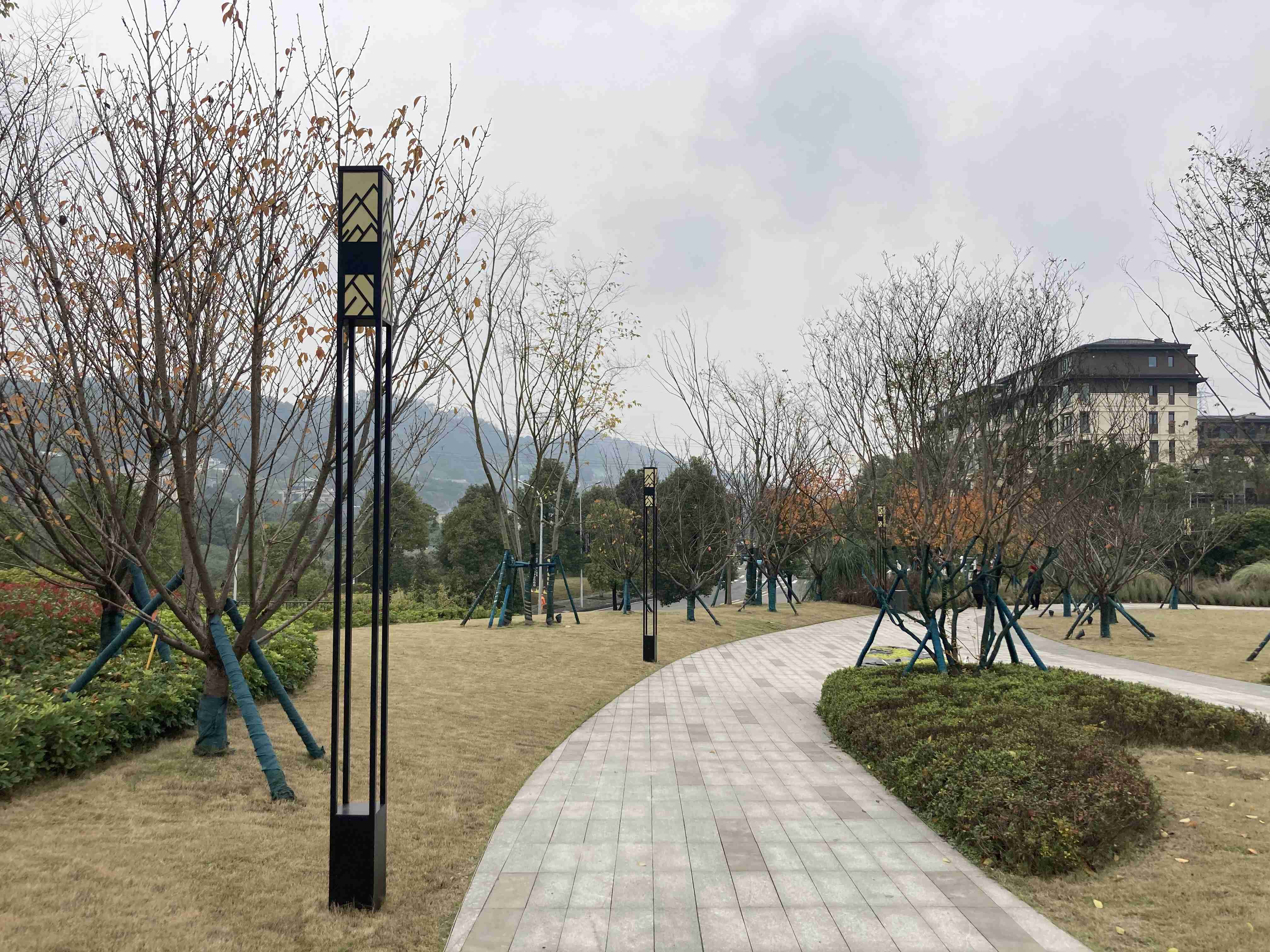 樱花公园.jpg