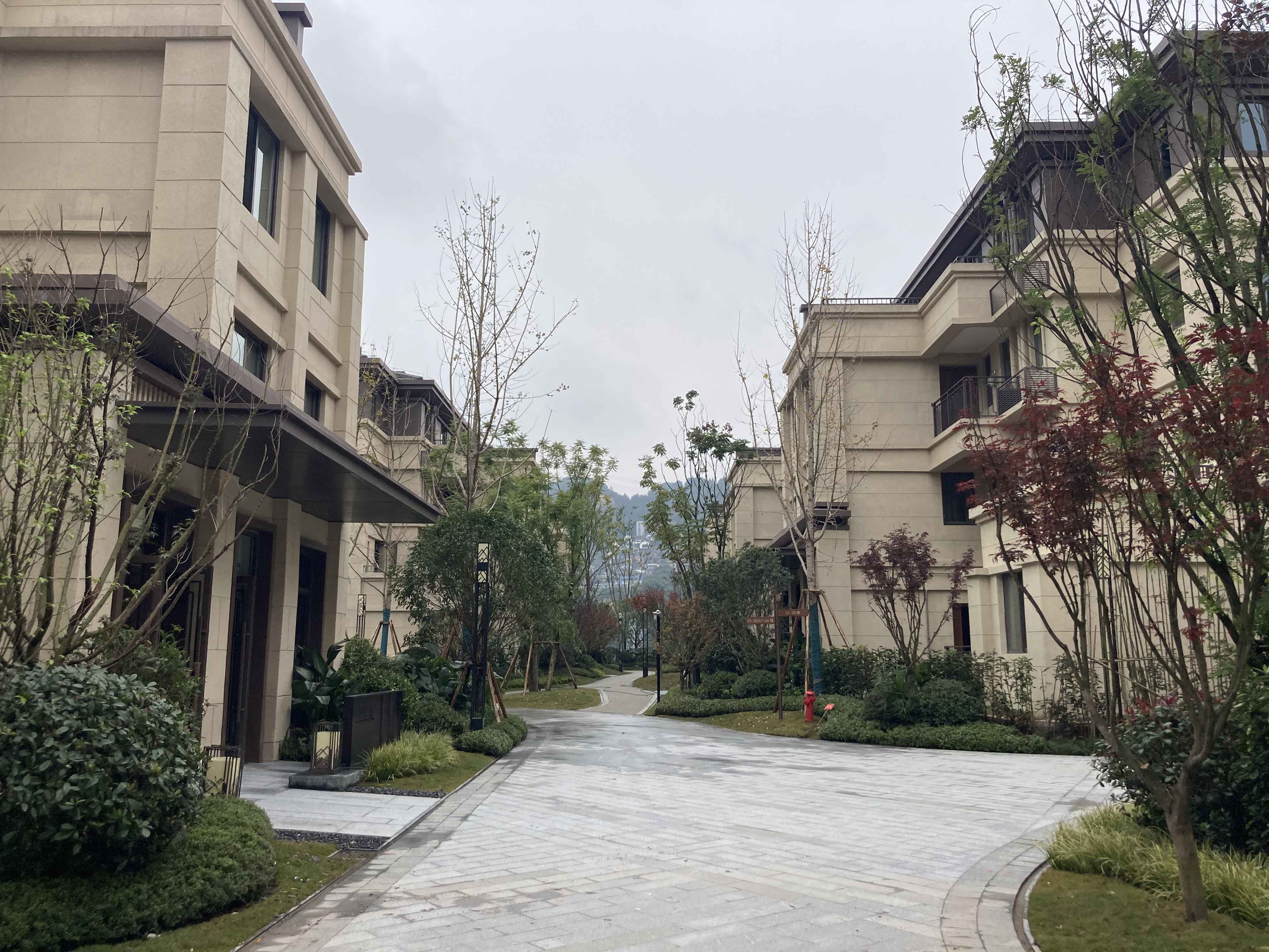小区图1.jpg