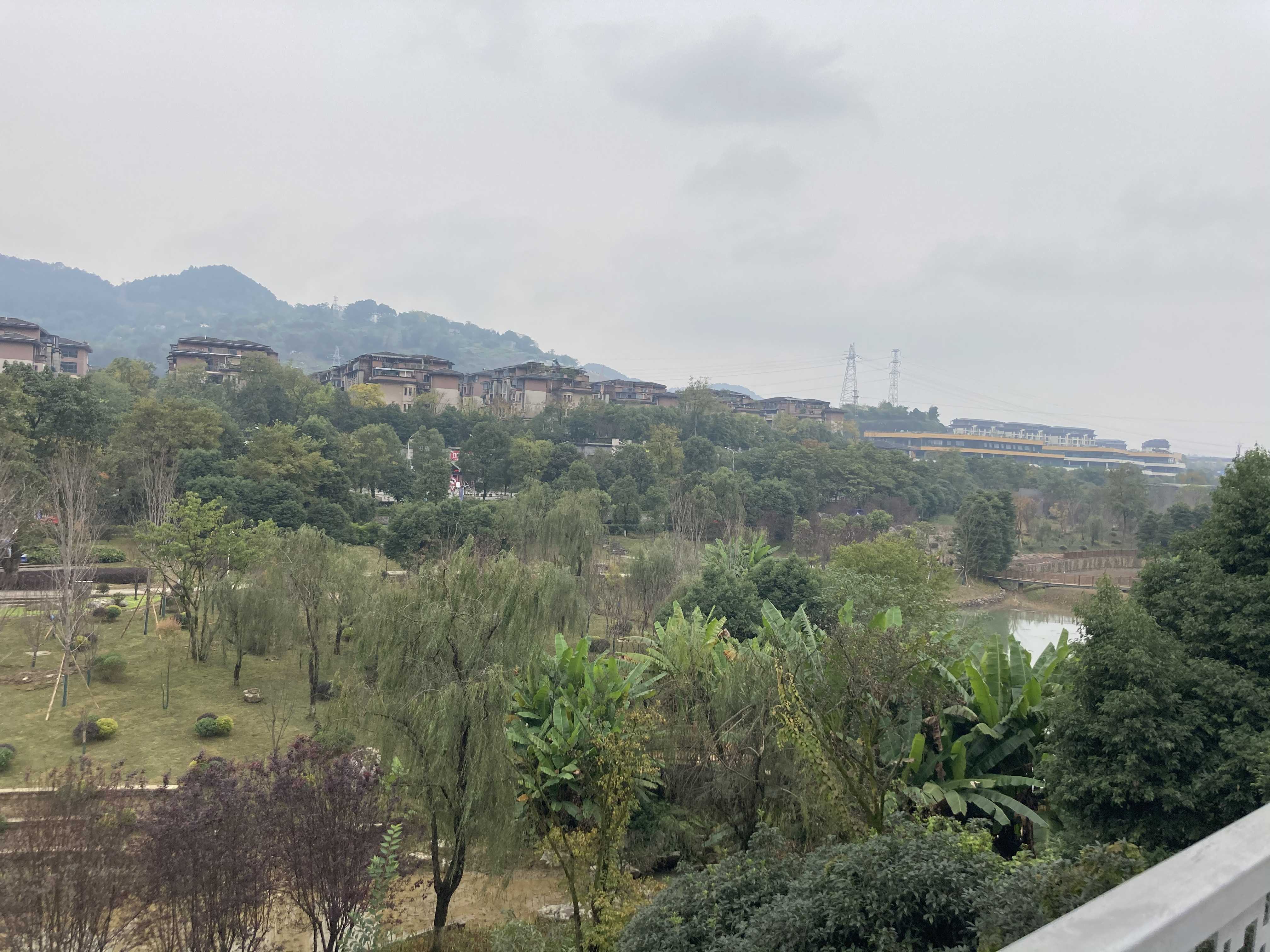 湿地公园.jpg