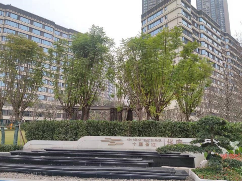 图片华2.jpg