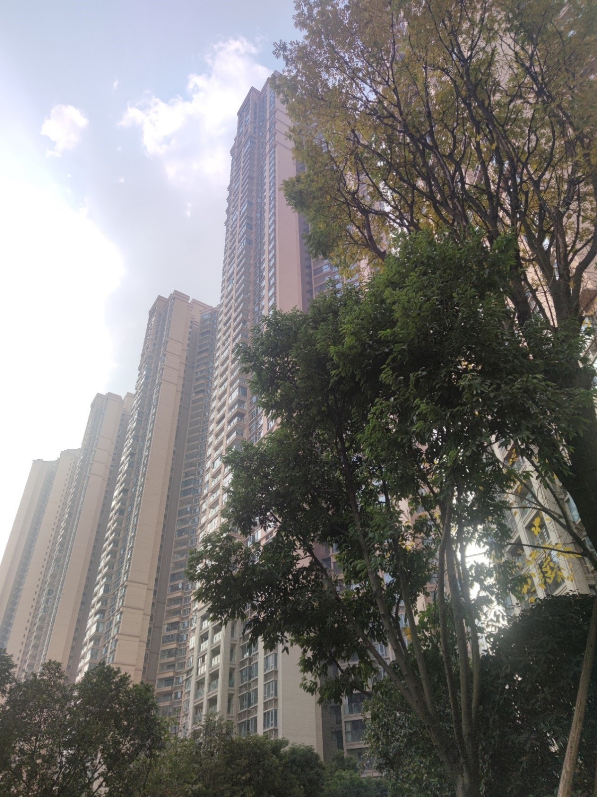 5555.jpg