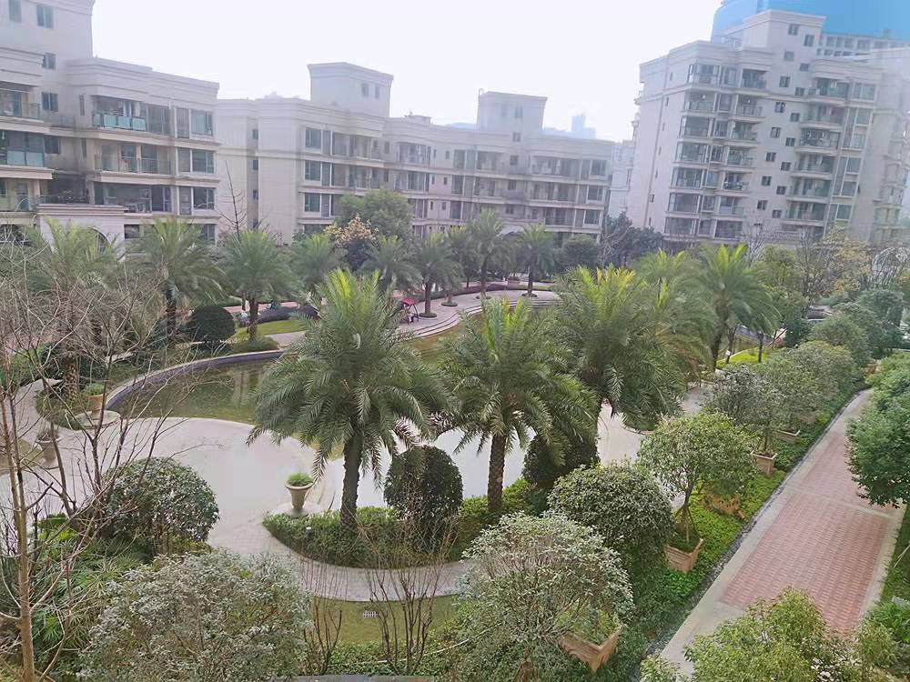 中庭.jpg