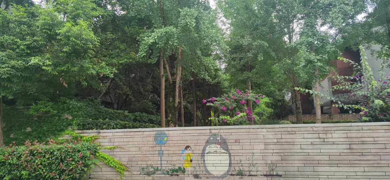 睿4.jpg